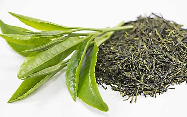 緑茶 緑茶