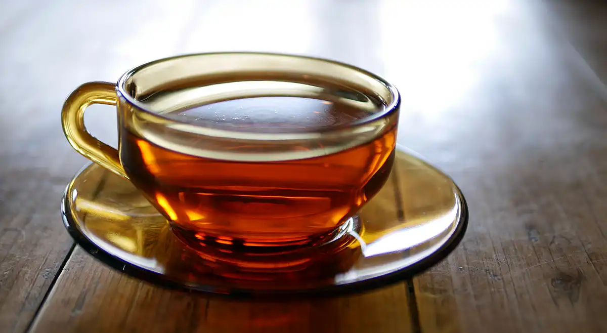 チャーガ茶の秘められた力: 自然の奇跡がもたらす効能とは？