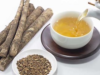 ごぼう茶