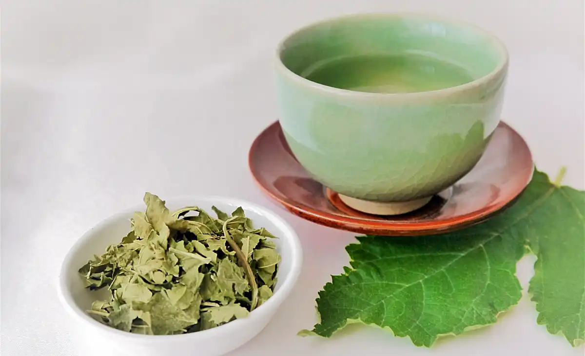 桑の葉茶の7つの健康・美容効果を徹底解説