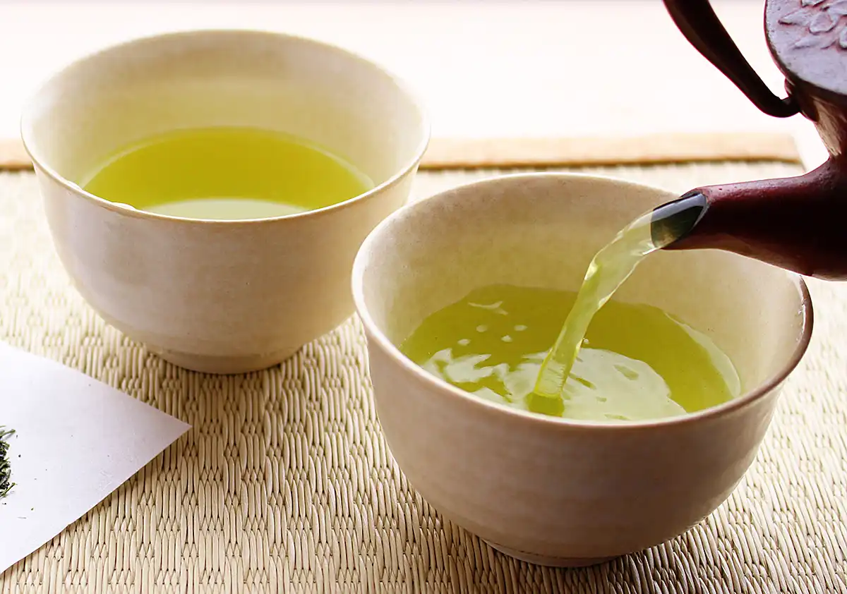 熊笹茶