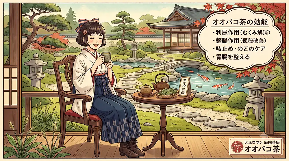 日本庭園に置かれたイスに座る女性がオオバコ茶を飲んでいるイメージ